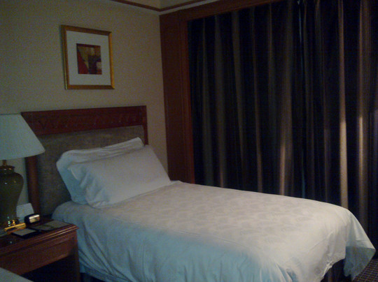 国大雷迪森广场酒店主图