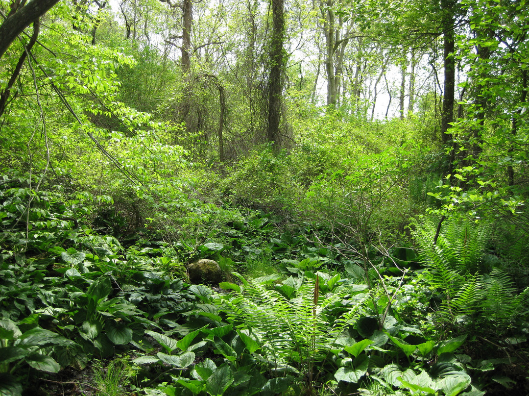 Theodore Roosevelt County Park-蒙托克必去景点