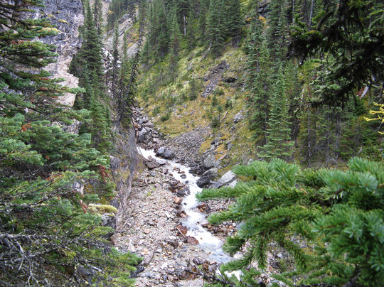 Great Divide Nature Interpretation-路易斯湖必去景点