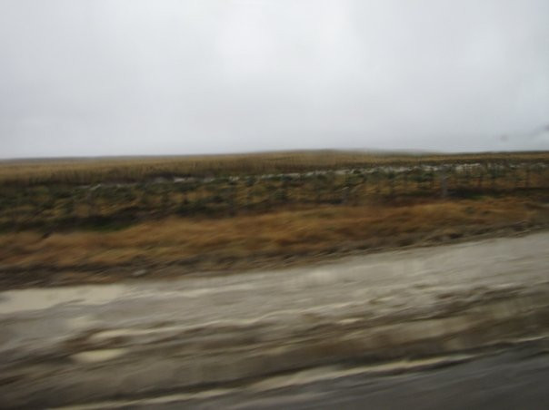 Ruta 9-蓬塔阿雷纳斯必去景点