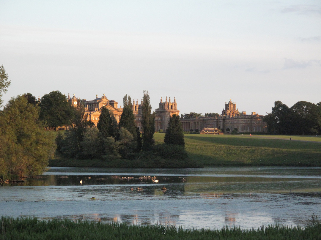 Blenheim Guest House and Tea Rooms主图