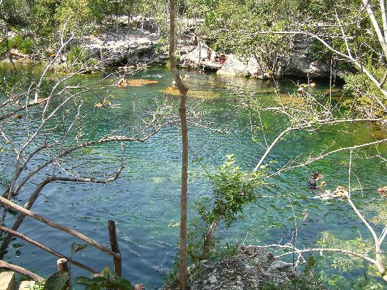 Cenote Jardín del Eden景点图片