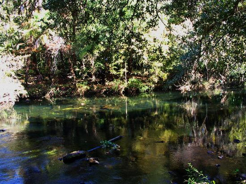 Hillsborough River State Park-Thonotosassa必去景点