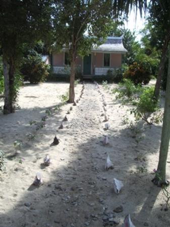 伊莉萨白女王二世植物园-大开曼岛必去景点