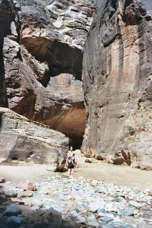 纽约湾海峡-锡安国家公园必去景点