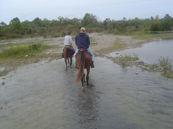 HorsePlay Niagara-科尔本港必去景点