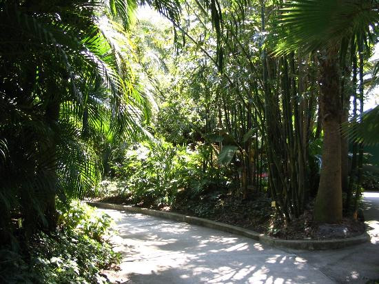 Sunken Gardens-圣彼德斯堡必去景点