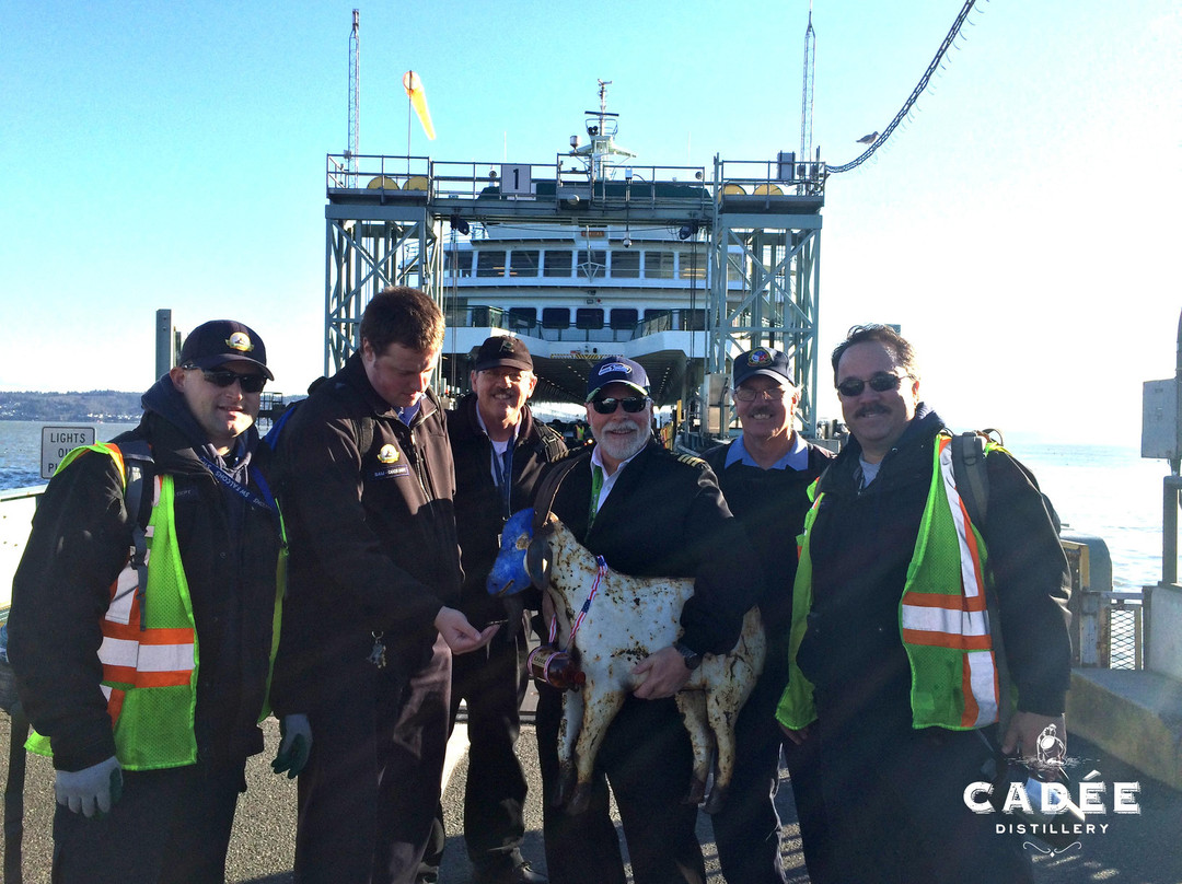 Cadee Distillery-Clinton必去景点