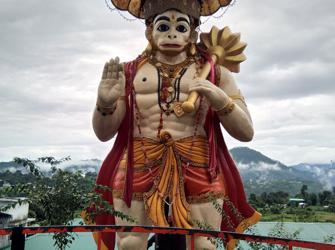 Hotel Spring Birds主图