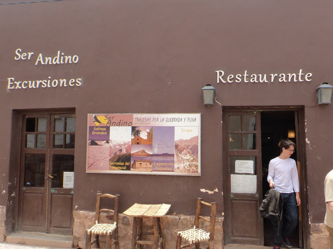 Ser Andino