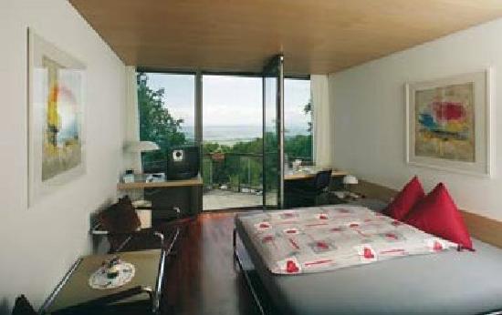 Swiss Olympic House Hotel Magglingen-客卧