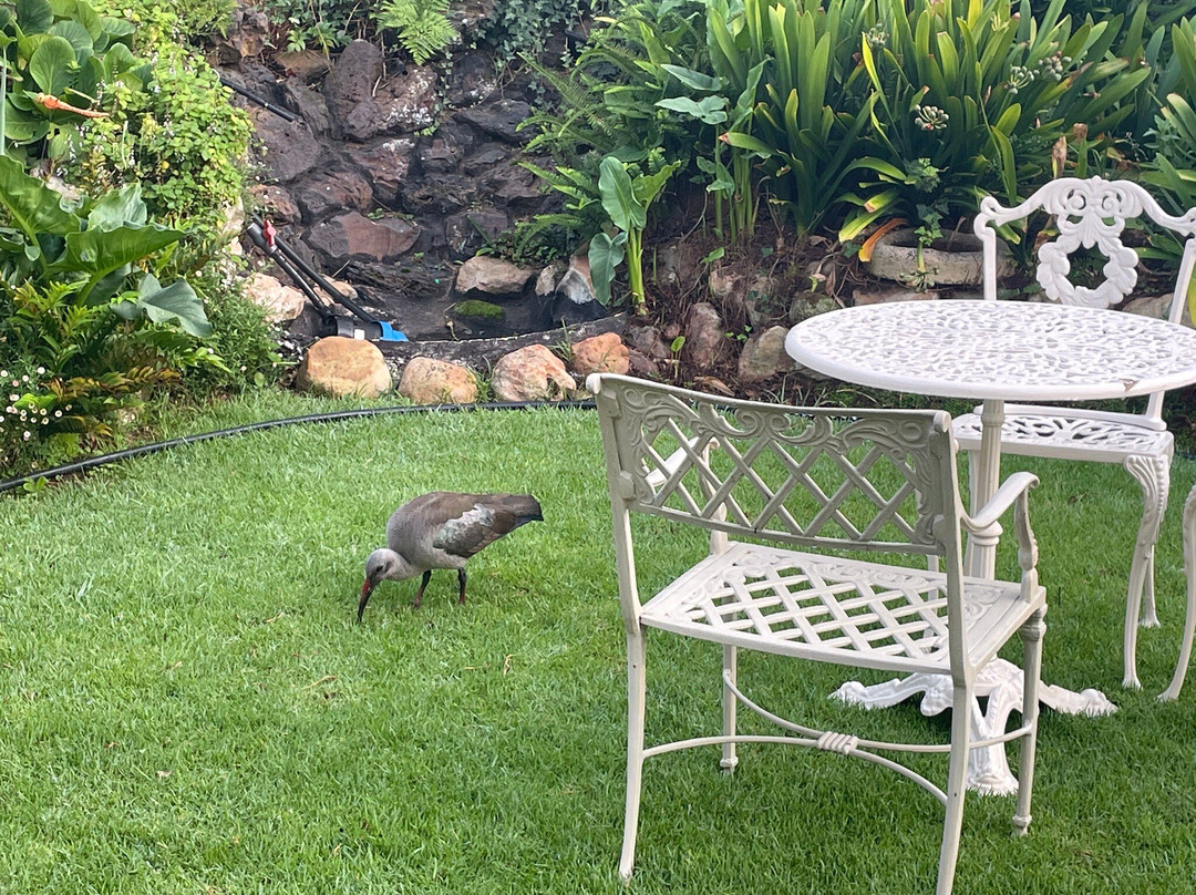 Knightsbury Guest House主图