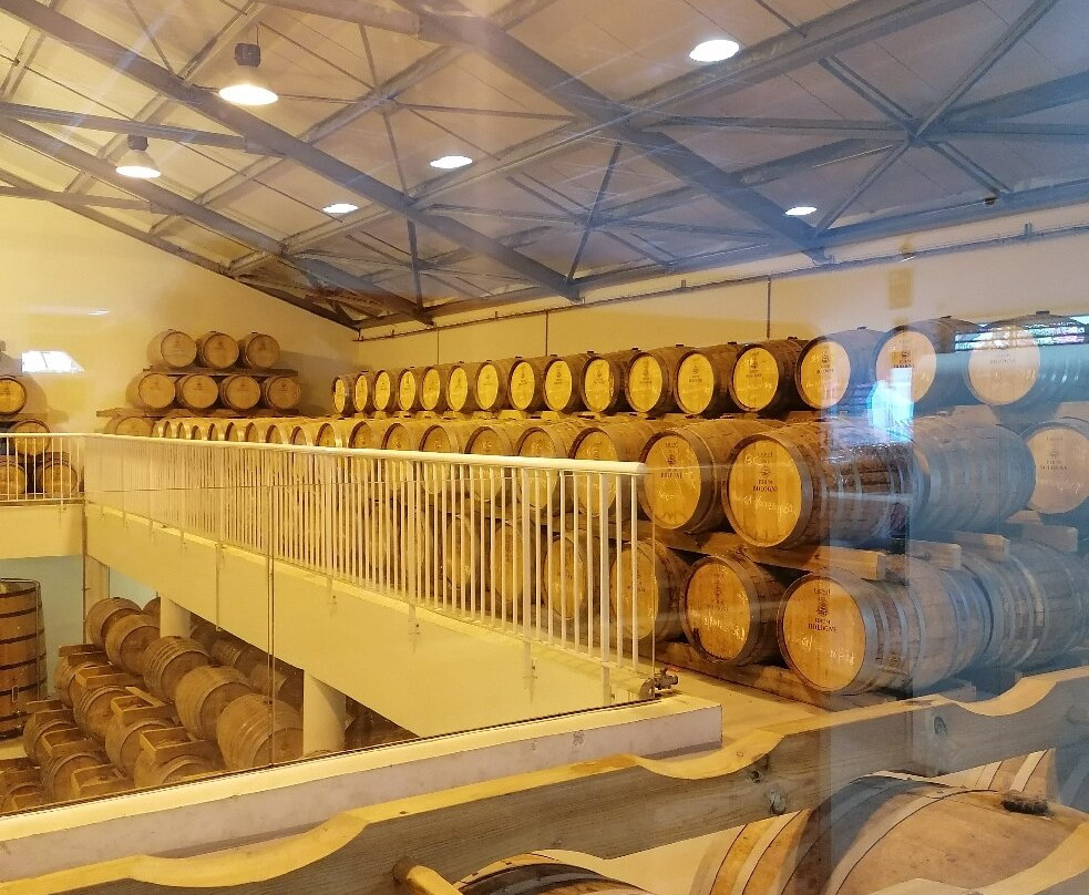 Distillerie Bologne-Basse-Terre必去景点