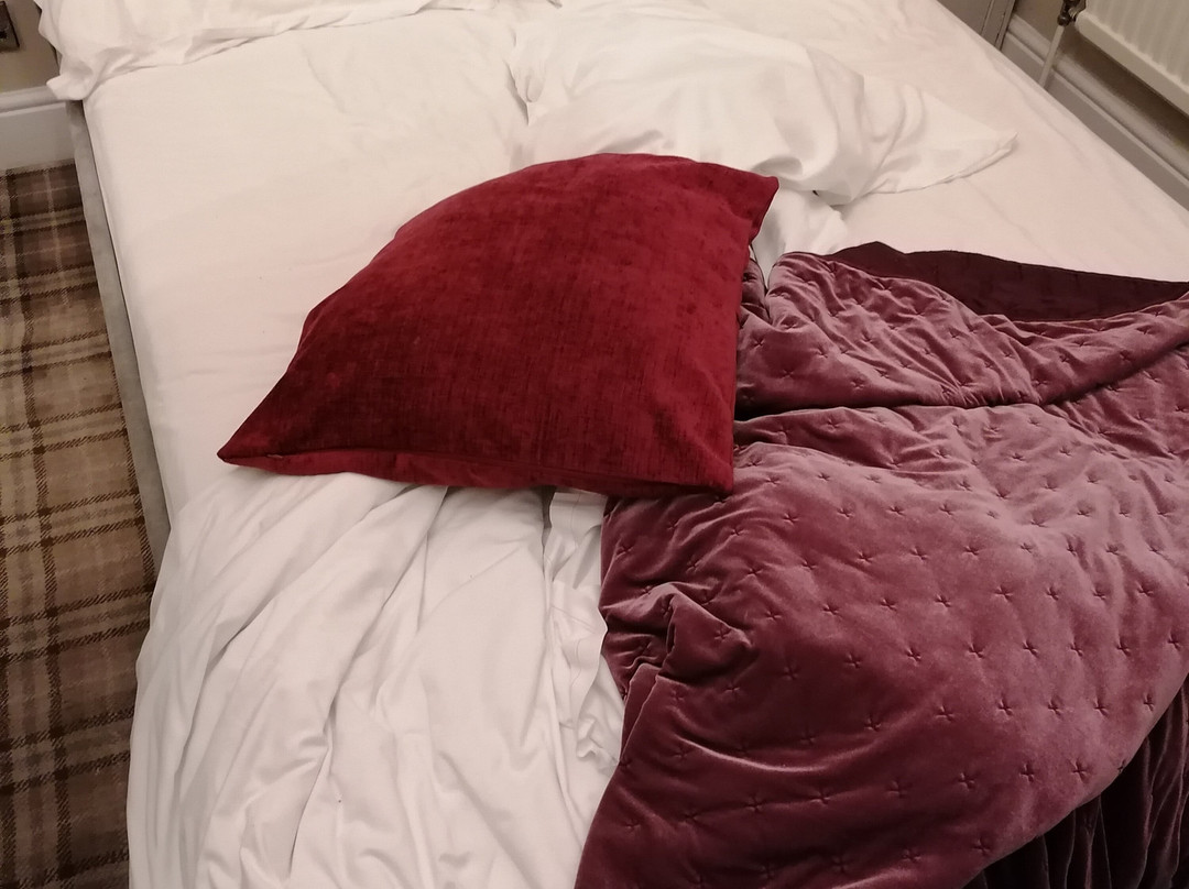 The First Hurdle Guest House主图