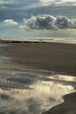Folly Beach Public Beach景点图片