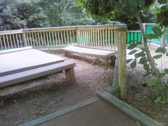 亚特兰大动物园-亚特兰大必去景点