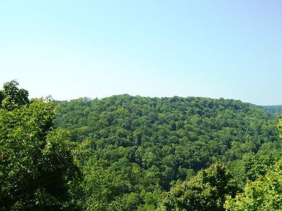 Clifty Falls State Park-麦迪逊必去景点