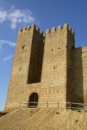 Castillo de Sadaba景点图片