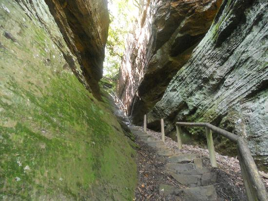 Natural Bridge State Resort Park-Slade必去景点