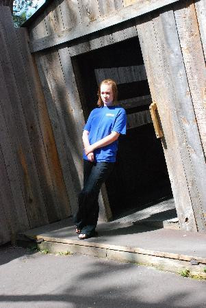 Cosmos Mystery Area-拉皮德城必去景点