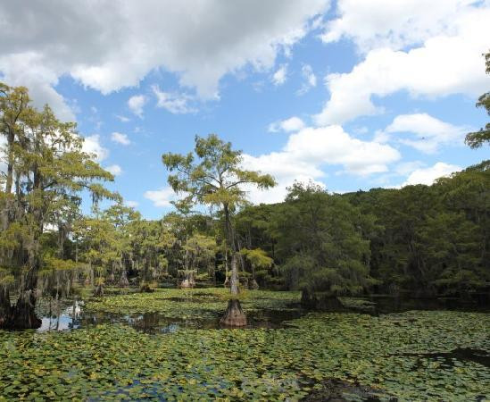 Caddo Lake State Park-Karnack必去景点