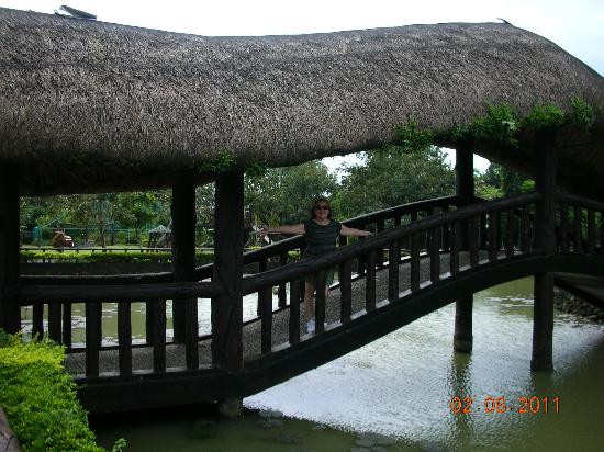 Albay Park and Wildlife-雷加斯皮必去景点