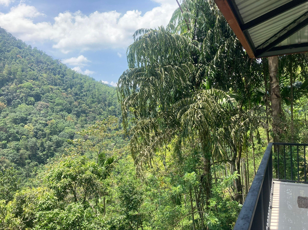 Mountriver Hotel主图