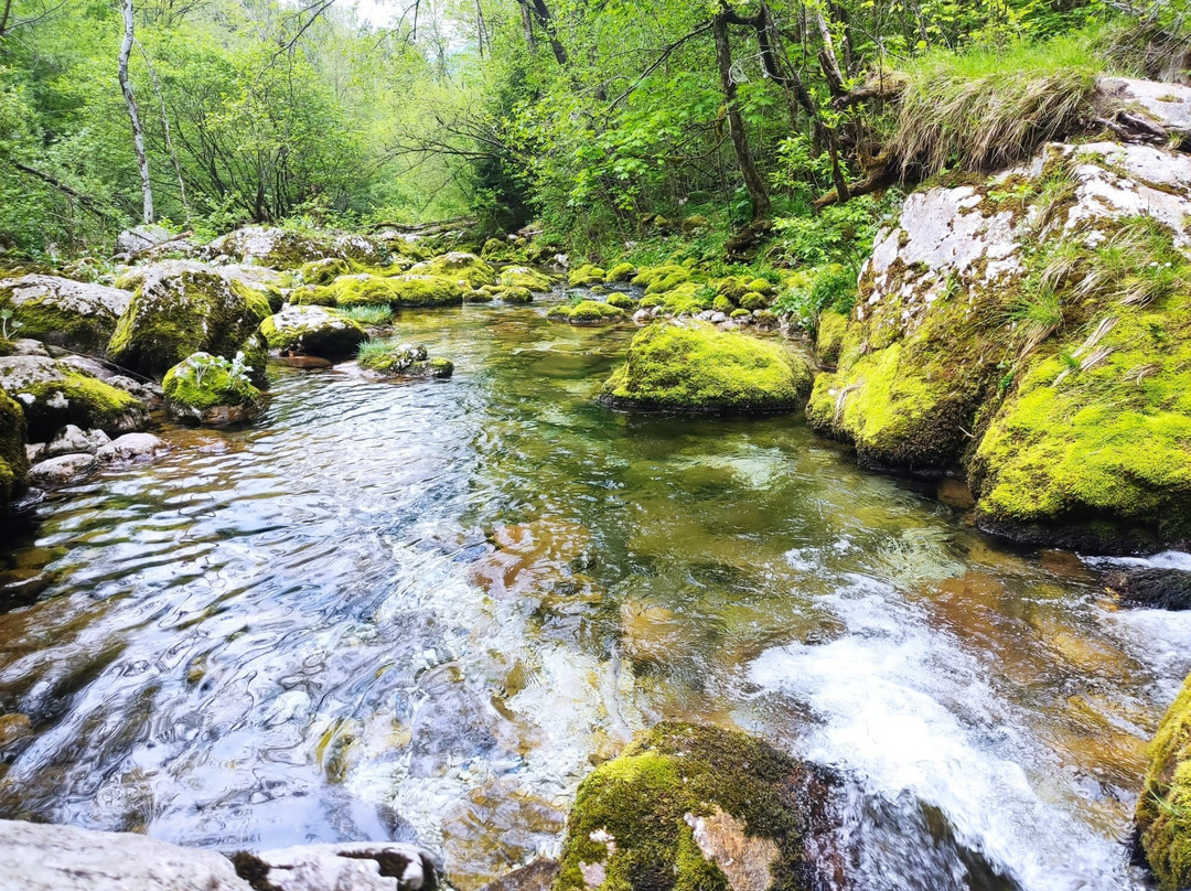 Virje Waterfall景点图片