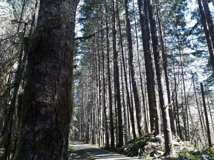 Fishhawk eCyclery-Vernonia必去景点