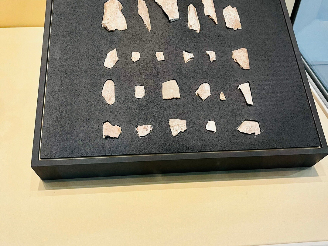 NUS Museum-新加坡必去景点