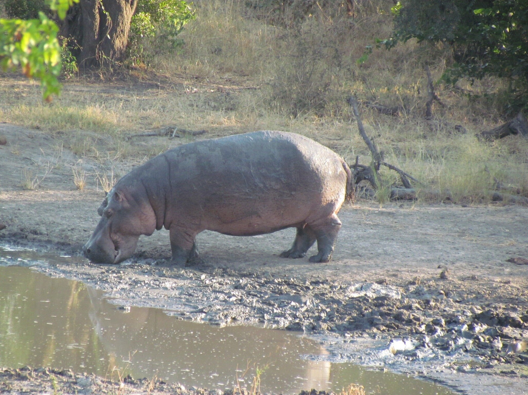 Nandzana Safaris-伐拉博瓦必去景点