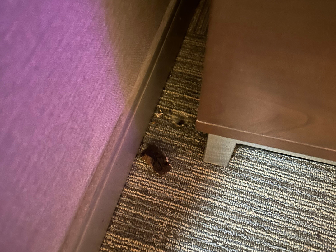 Hampton Inn & Suites Providence Smithfield主图