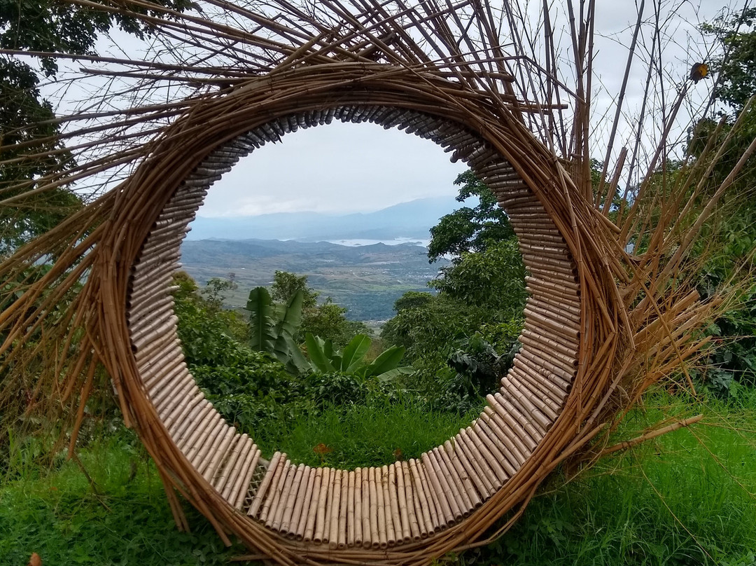 Ceiba de la Libertad-Gigante必去景点