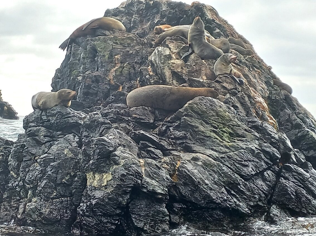 Caleta Chanaral de Aceituno-Chanaral必去景点