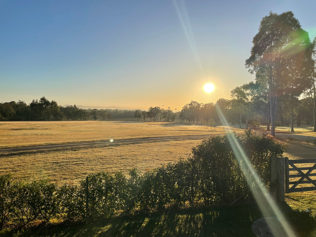 Hunter Valley Prestige Wine Tours景点图片