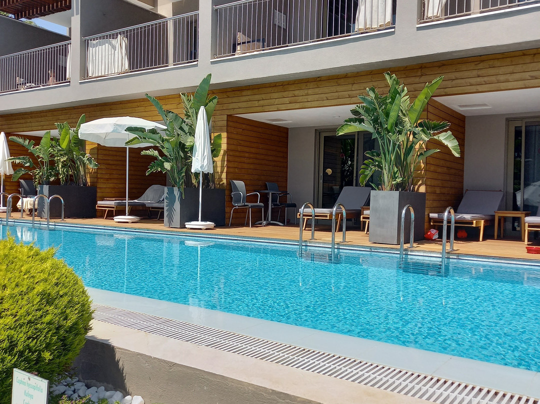 Barut Hemera主图