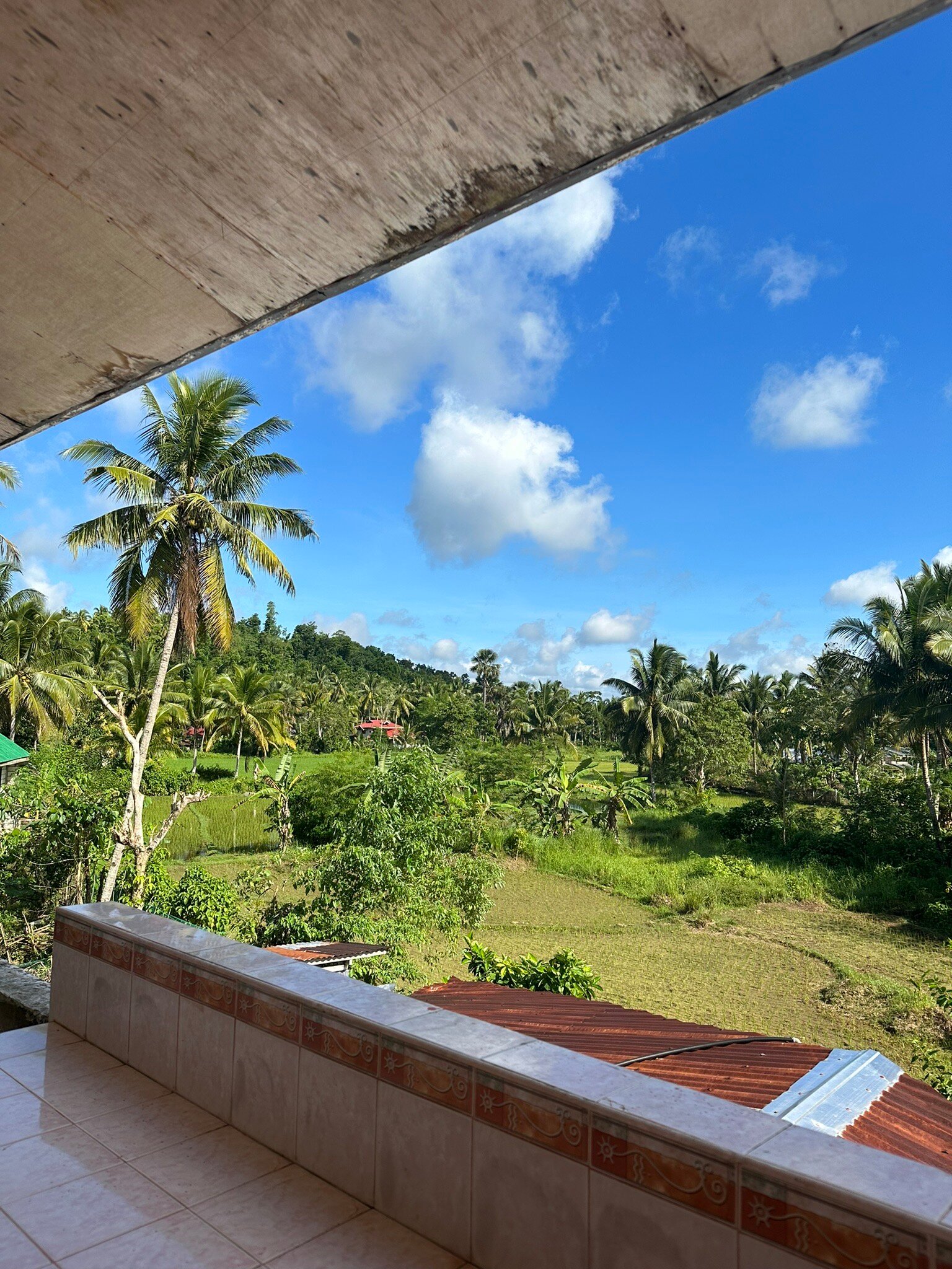 Fely's Homestay-官方