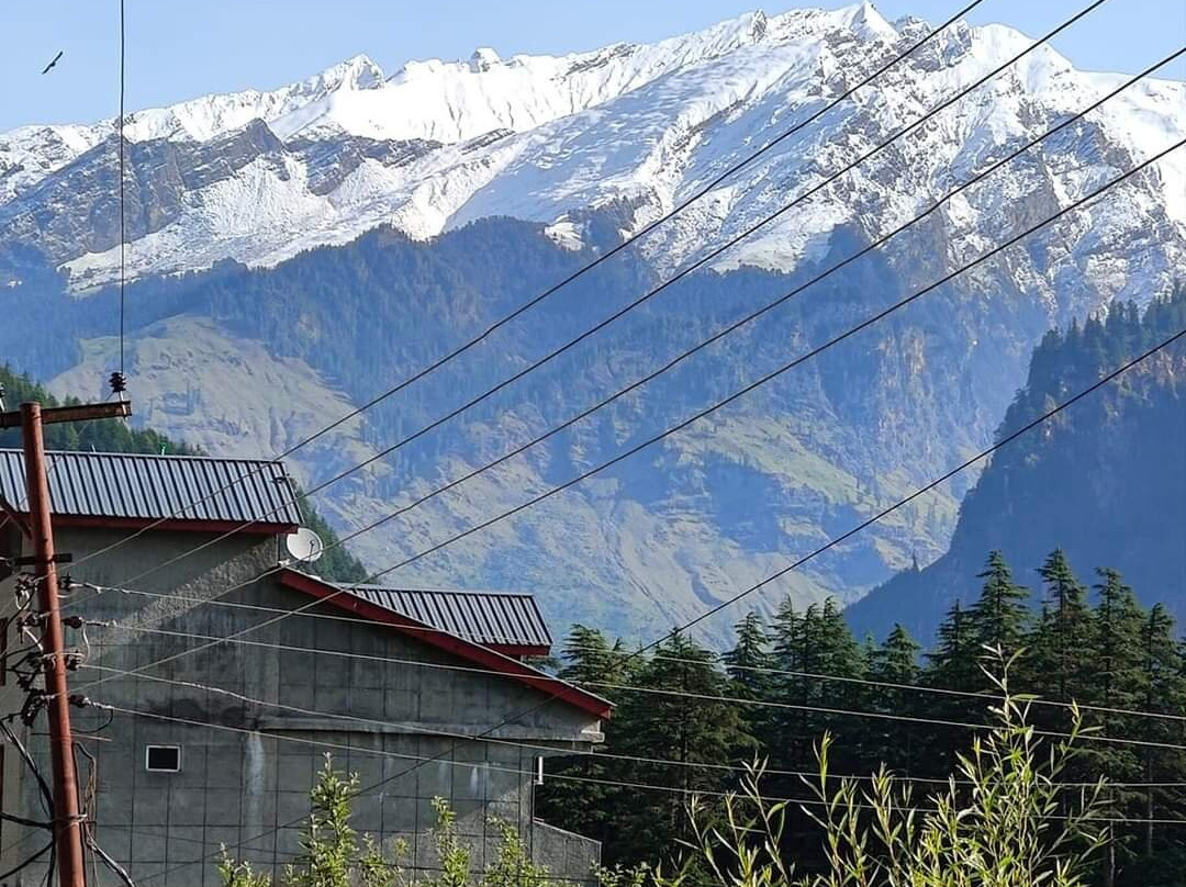 Mastiff Xanadu主图