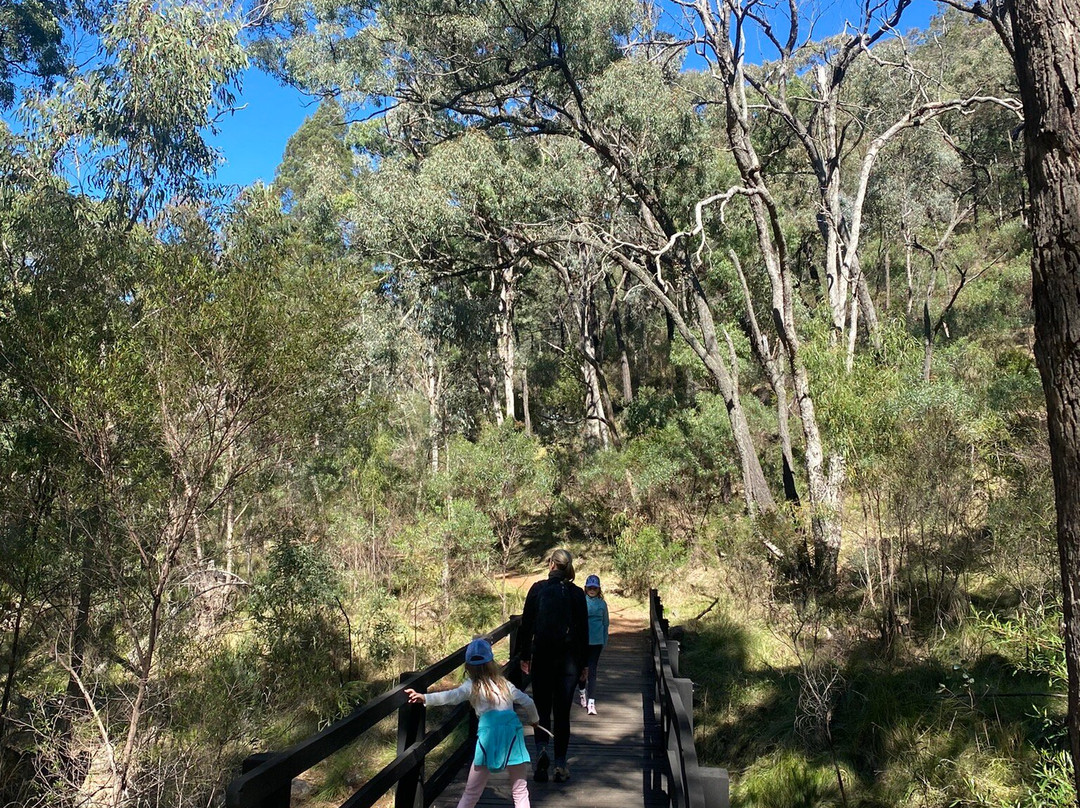 Warrumbungle National Park景点图片