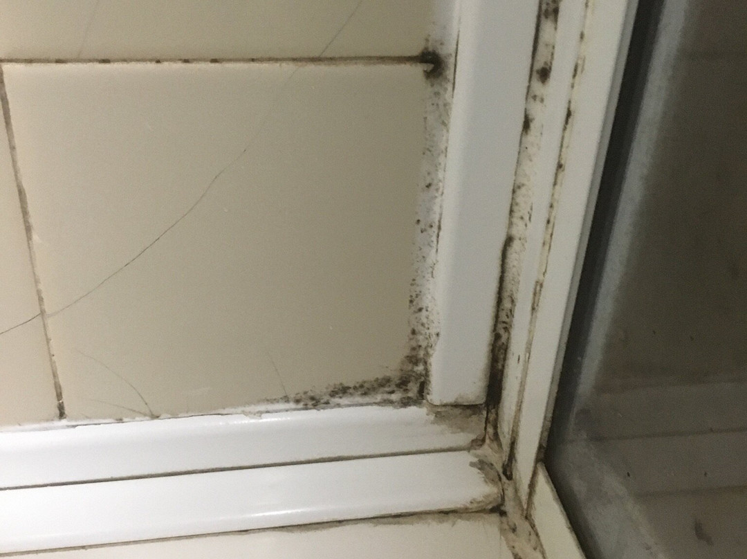 Lancaster University Guest Rooms主图