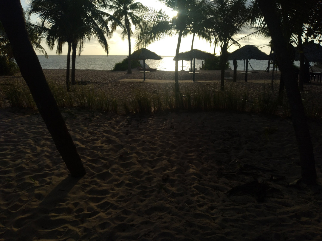 Pousada dos Guarás主图