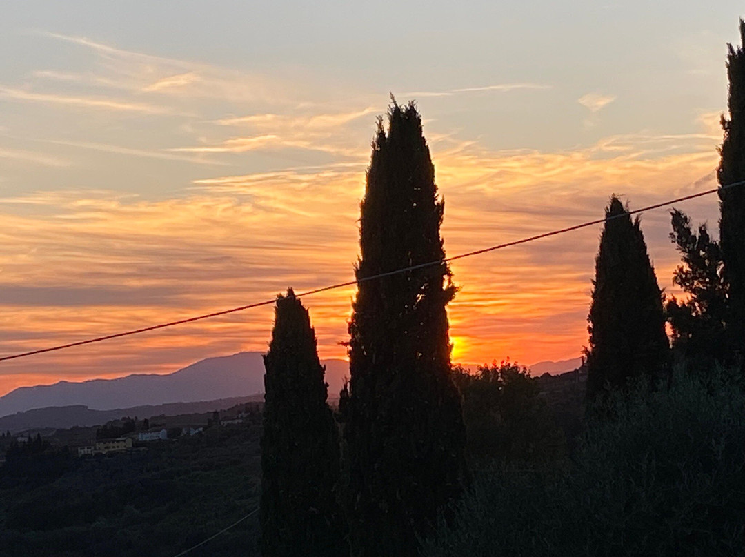 Castello Di Montegufoni