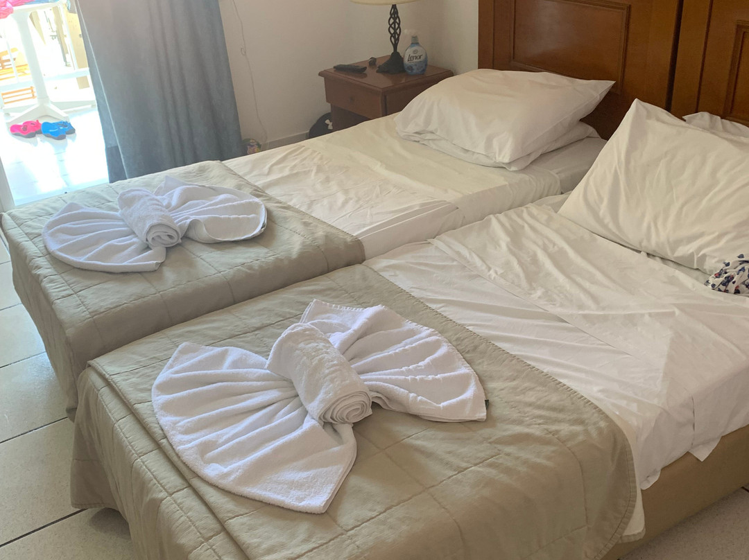 黛安娜皇宫酒店主图