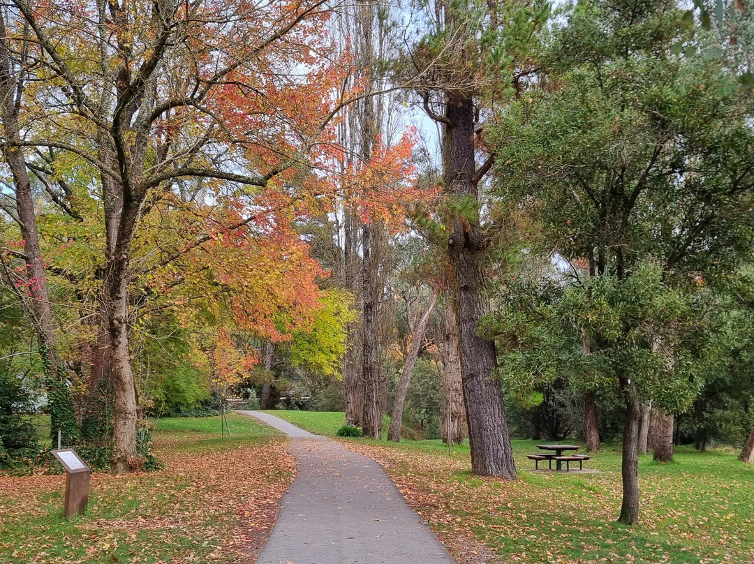 Howitt Park-布赖特必去景点