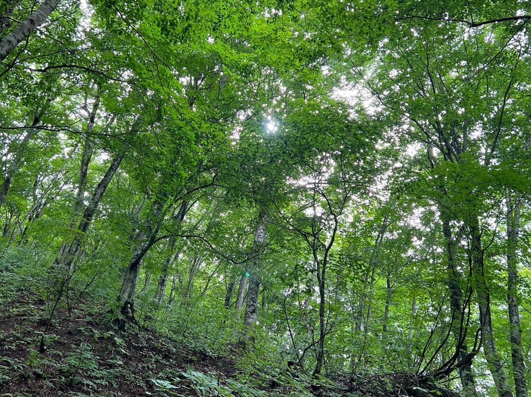 白神山地-东北部必去景点