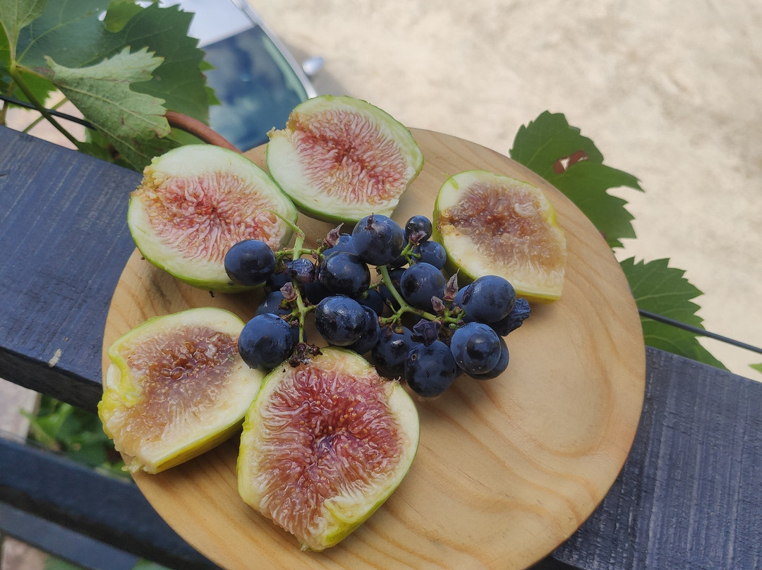 Adega Terrabrava-Sober必去景点