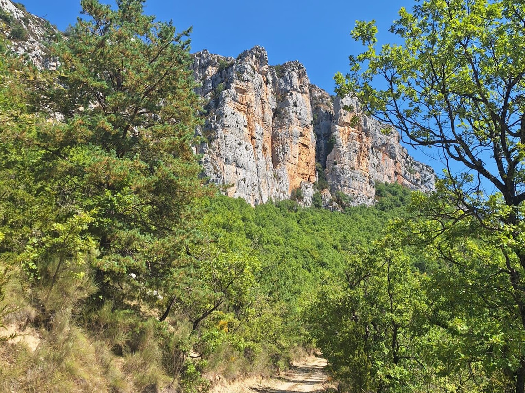 Chasteuil Locations De Vacances主图