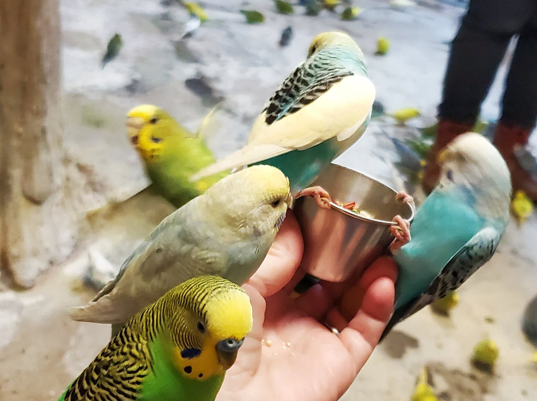 SeaQuest Fort Worth-沃思堡必去景点