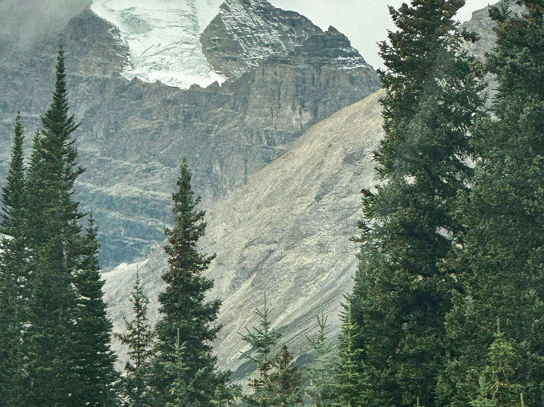 罗布森山酒店主图