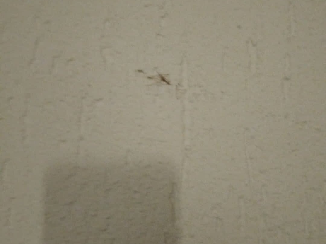 Hotel Gromada Poznan主图